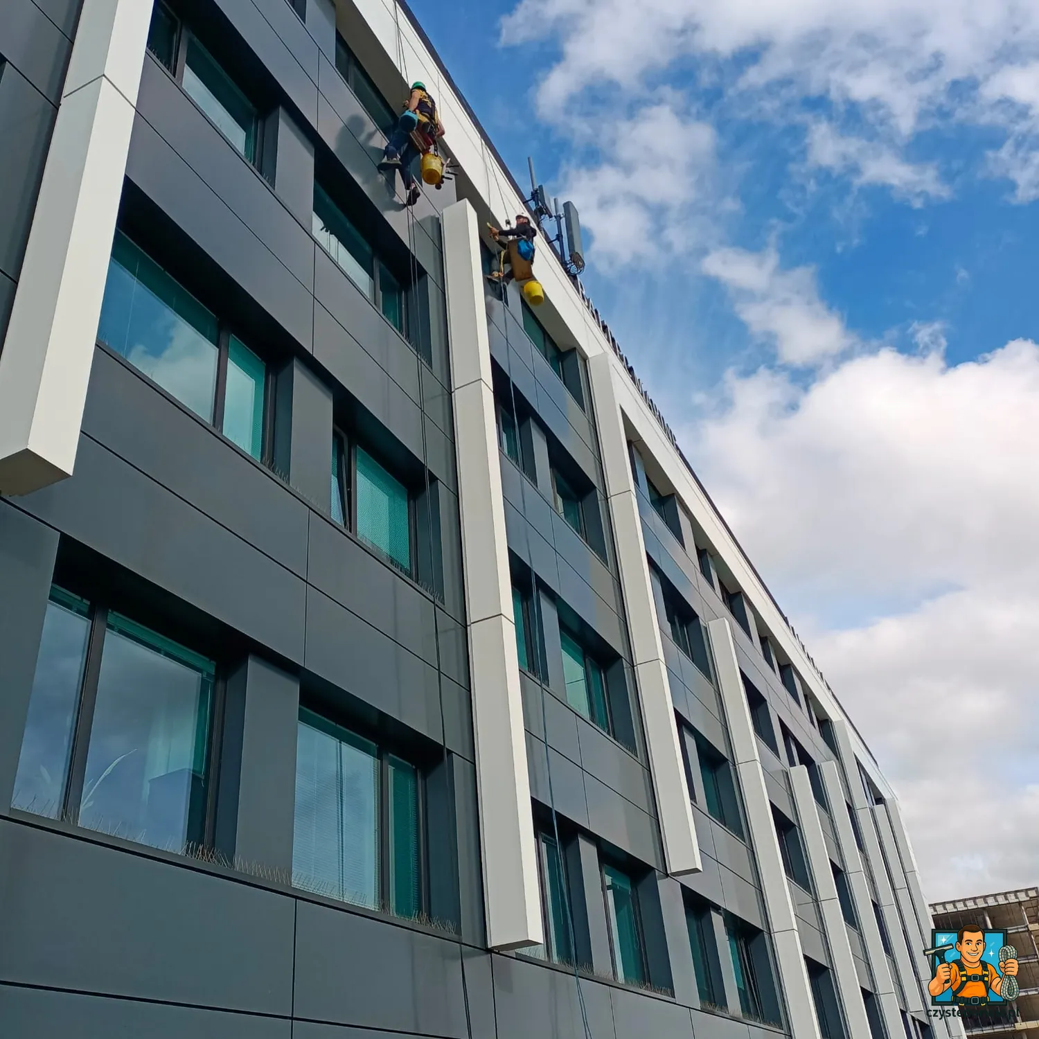 Realizacja Alpinistyczne mycie okien w biurowcu Gdańsk
